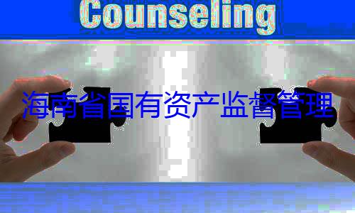 委副书记王有福接受审理委员会党资产监督管海南省国有查调查